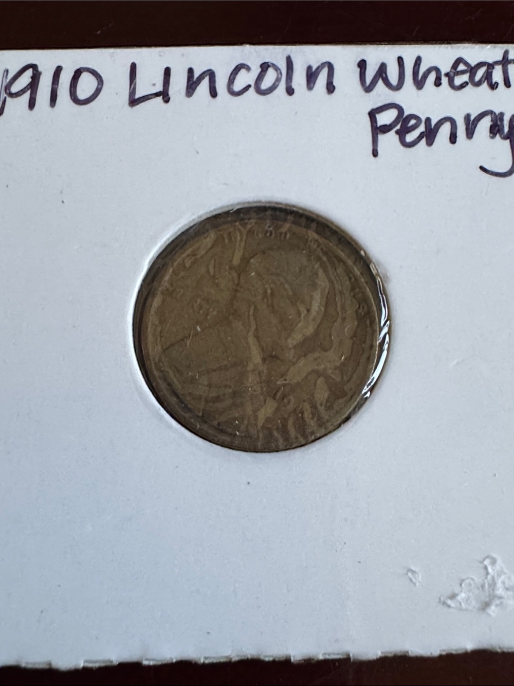 Lincoln Wheat Penny - Brown Coin for Reptile Habitat Décor